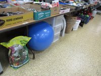 040823auc2pic022