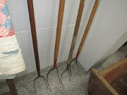 082226auc1pic017