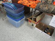 053026auc2pic132