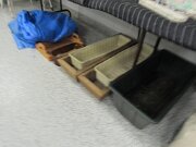 091926auc2pic019